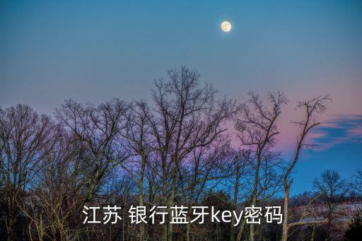  江蘇 銀行藍(lán)牙key密碼