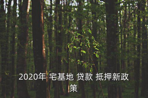 2020年 宅基地 貸款 抵押新政策