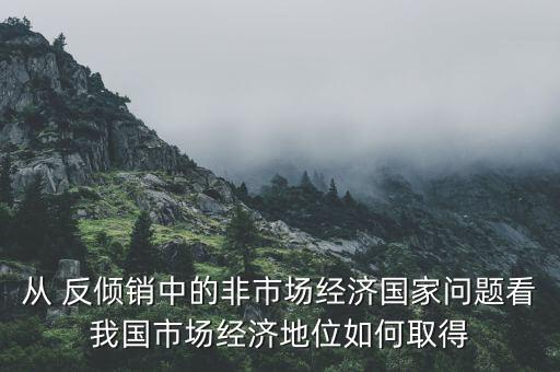 反傾銷中國資源,中國遭受反傾銷的原因