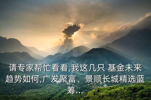 請專家?guī)兔纯?我這幾只 基金未來趨勢如何,廣發(fā)聚富、景順長城精選藍(lán)籌...