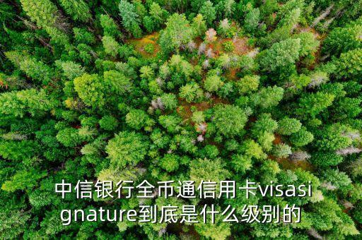  中信銀行全幣通信用卡visasignature到底是什么級別的