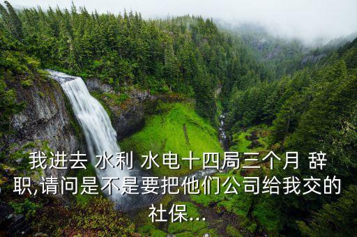 我進去 水利 水電十四局三個月 辭職,請問是不是要把他們公司給我交的社保...