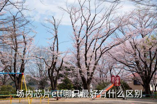  場內(nèi)芯片etf哪只最好有什么區(qū)別