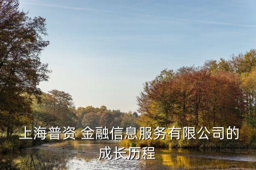  上海普資 金融信息服務(wù)有限公司的成長(zhǎng)歷程