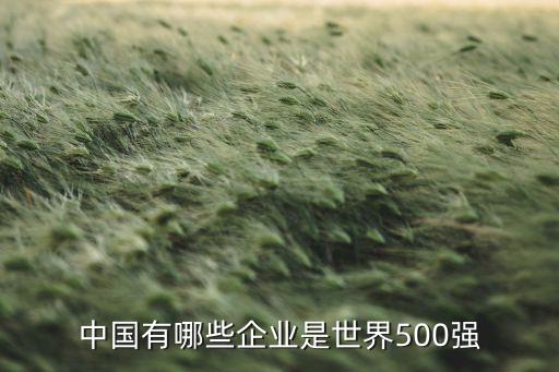 中國有哪些企業(yè)是世界500強