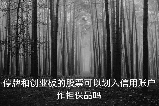 中國遠(yuǎn)洋現(xiàn)在是停盤時間嗎