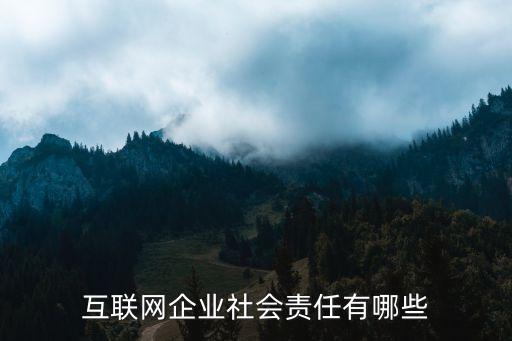 互聯(lián)網(wǎng)企業(yè)社會(huì)責(zé)任有哪些