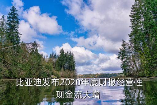  比亞迪發(fā)布2020年度財報經(jīng)營性現(xiàn)金流大增