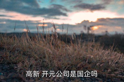 北京高立開元?jiǎng)?chuàng)新科技有限公司