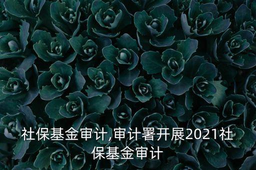 美國(guó)社?；饘徲?jì),審計(jì)署開展2021社?；饘徲?jì)