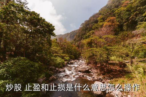 如何委托把股票賣(mài)出止盈,股票委托賣(mài)出為什么遲遲不成功