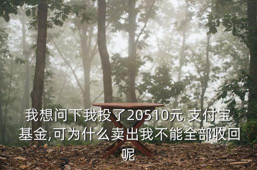 我想問下我投了20510元 支付寶 基金,可為什么賣出我不能全部收回呢