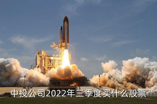 中投公司2022年三季度買什么股票