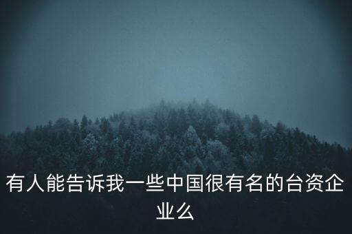 有人能告訴我一些中國(guó)很有名的臺(tái)資企業(yè)么