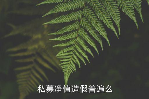 私募投資管理公司盡調(diào)報告,投資管理公司是私募嗎