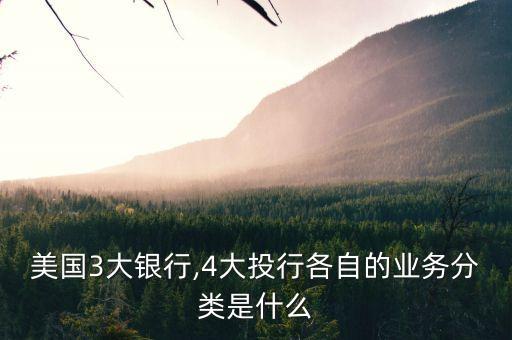 美國3大銀行,4大投行各自的業(yè)務(wù)分類是什么