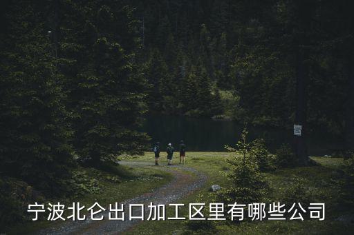 寧波北侖出口加工區(qū)里有哪些公司