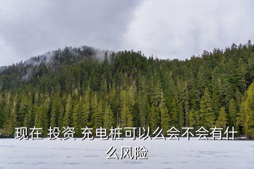 現(xiàn)在 投資 充電樁可以么會(huì)不會(huì)有什么風(fēng)險(xiǎn)