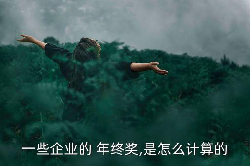 嘉士伯云南分公司年終獎(jiǎng)怎么算