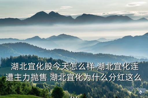  湖北宜化股今天怎么樣 湖北宜化連遭主力拋售 湖北宜化為什么分紅這么...