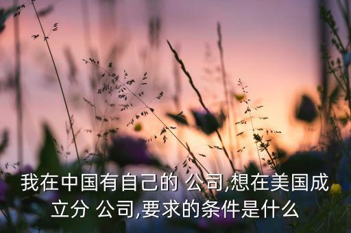 我在中國有自己的 公司,想在美國成立分 公司,要求的條件是什么