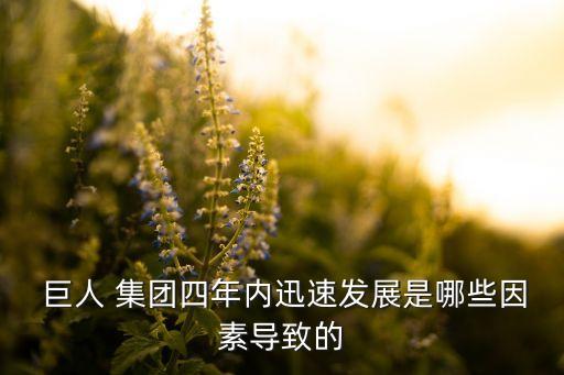 巨人集團(tuán)手游,進(jìn)擊的巨人2手游下載