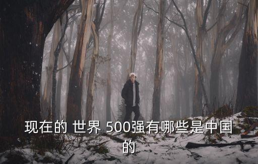 現(xiàn)在的 世界 500強有哪些是中國的