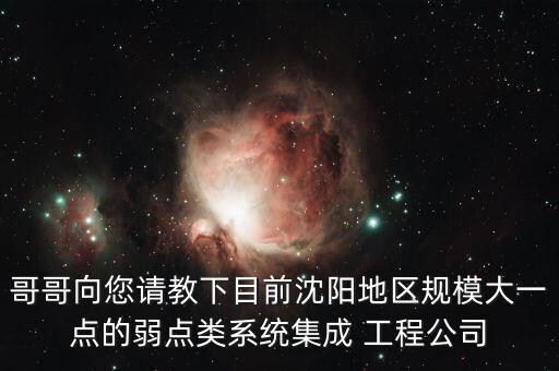 哥哥向您請教下目前沈陽地區(qū)規(guī)模大一點的弱點類系統集成 工程公司