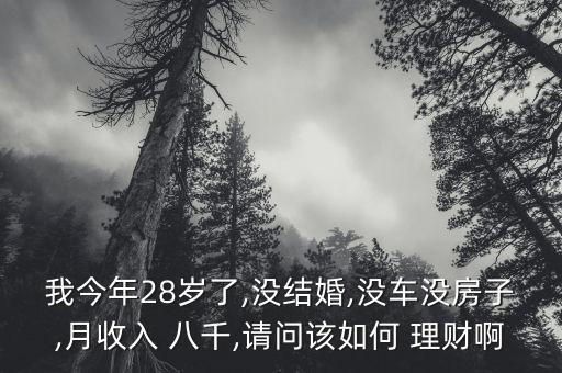 我今年28歲了,沒結婚,沒車沒房子,月收入 八千,請問該如何 理財啊