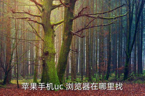 蘋果手機uc 瀏覽器在哪里找