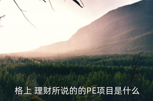  格上 理財(cái)所說(shuō)的的PE項(xiàng)目是什么