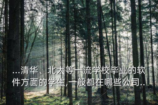 ...清華、北大等一流學(xué)校畢業(yè)的軟件方面的學(xué)生,一般都在哪些公司...