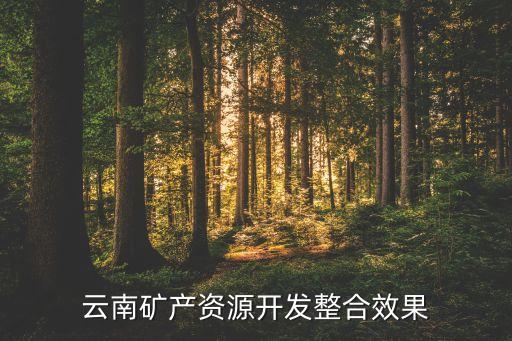 云南礦產資源開發(fā)整合效果