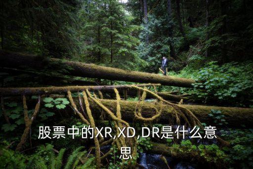 股票xr10轉(zhuǎn)20