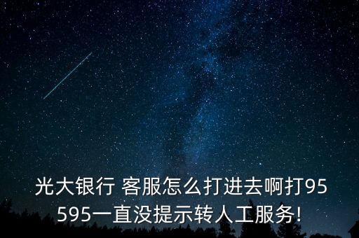  光大銀行 客服怎么打進(jìn)去啊打95595一直沒(méi)提示轉(zhuǎn)人工服務(wù)!