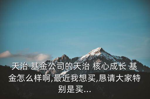 天治 基金公司的天治 核心成長(zhǎng) 基金怎么樣啊,最近我想買(mǎi),懇請(qǐng)大家特別是買(mǎi)...