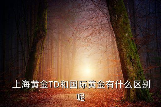  上海黃金TD和國際黃金有什么區(qū)別呢