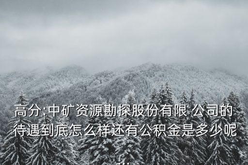 中國有色礦業(yè)公司海外待遇,金誠信礦業(yè)公司海外待遇