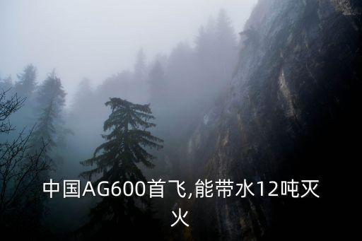 上海水陸兩棲飛機(jī),ag600水陸兩棲飛機(jī)簡(jiǎn)介