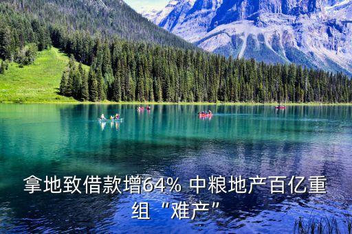 拿地致借款增64% 中糧地產(chǎn)百億重組“難產(chǎn)”