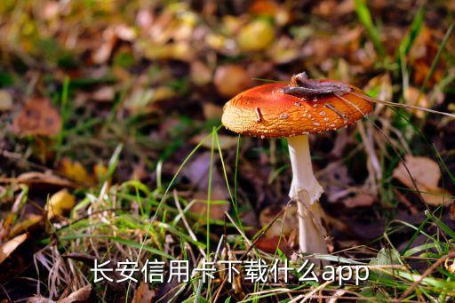  長(zhǎng)安信用卡下載什么app