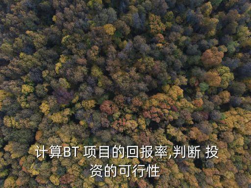  計算BT 項目的回報率,判斷 投資的可行性