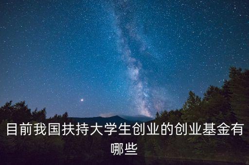 目前我國扶持大學(xué)生創(chuàng)業(yè)的創(chuàng)業(yè)基金有哪些