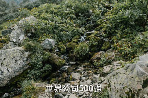 世界公司500強(qiáng)