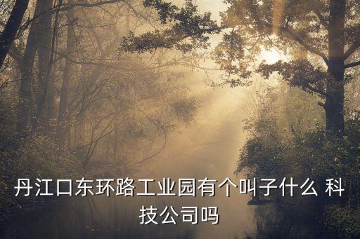 丹江口東環(huán)路工業(yè)園有個叫子什么 科技公司嗎