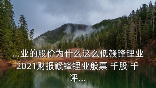 ...業(yè)的股價(jià)為什么這么低贛鋒鋰業(yè)2021財(cái)報(bào)贛鋒鋰業(yè)般票 千股 千評(píng)...