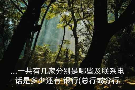 ...一共有幾家分別是哪些及聯(lián)系電話是多少還有 銀行(總行或分行