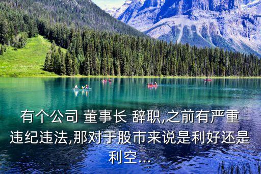 有個(gè)公司 董事長 辭職,之前有嚴(yán)重違紀(jì)違法,那對于股市來說是利好還是利空...