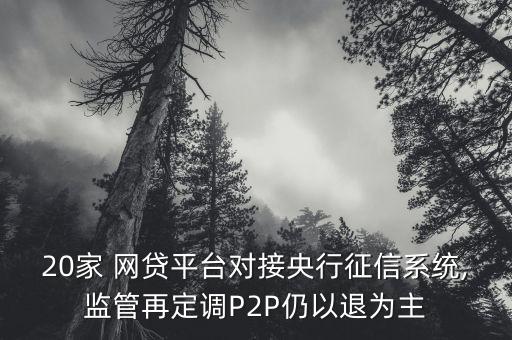 中國p2p網(wǎng)貸,中國P2P網(wǎng)貸平臺運(yùn)營中存在的風(fēng)險(xiǎn)主要有哪些?