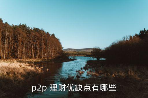 p2p 理財(cái)優(yōu)缺點(diǎn)有哪些